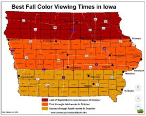 fall map