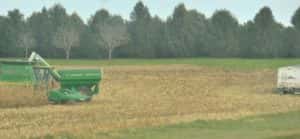 Harvest in Greene County