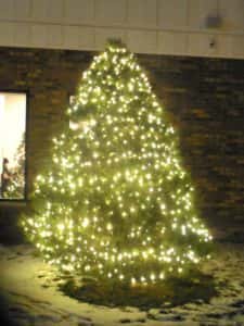 lit-christmas-tree-225x300