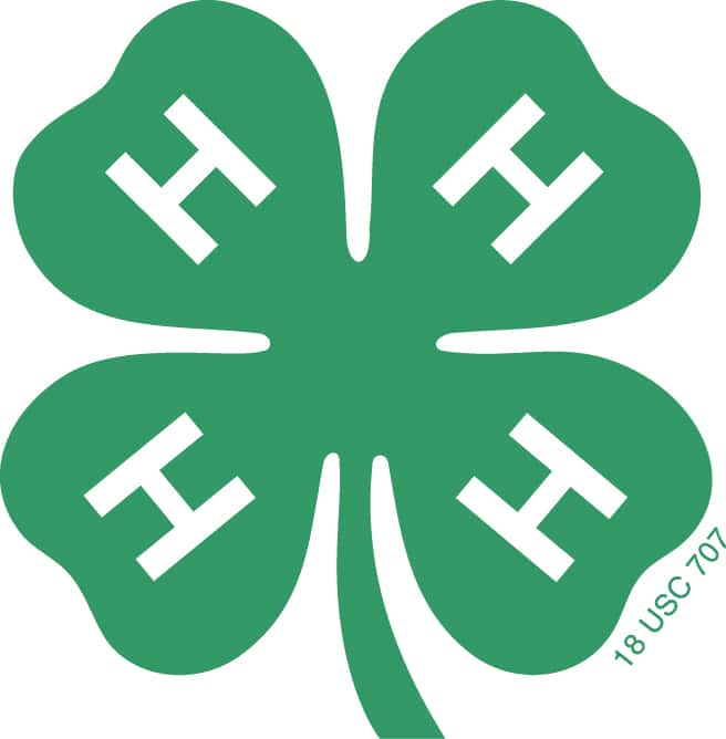 4-h-clover