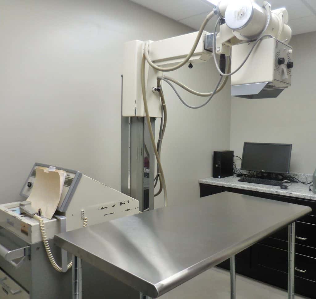 Transition Goes Smoothly to New Facility for Jefferson Veterinary