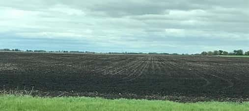 crop-field