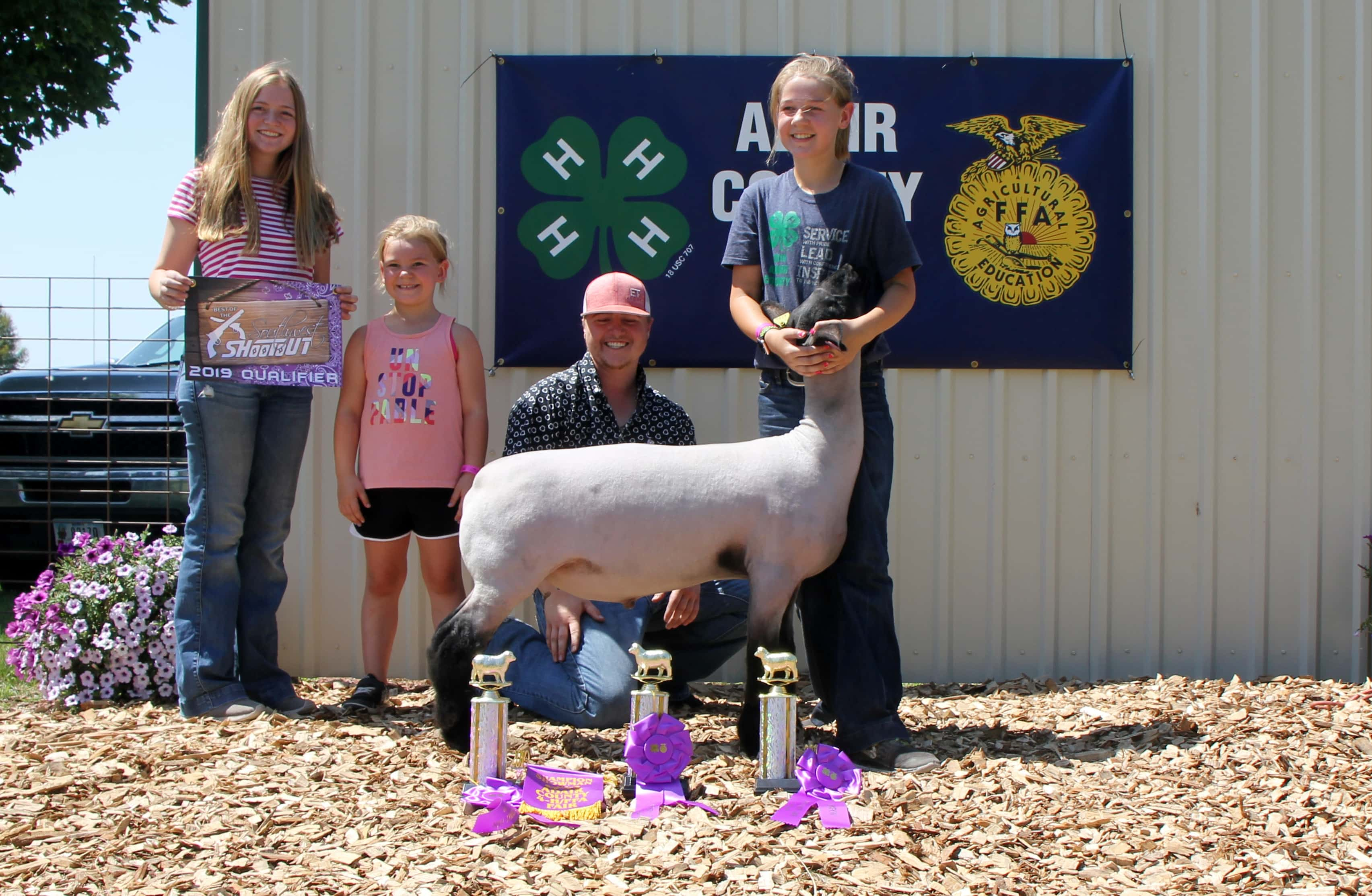 1-grand-cahmpion-mkt-lamb-krista