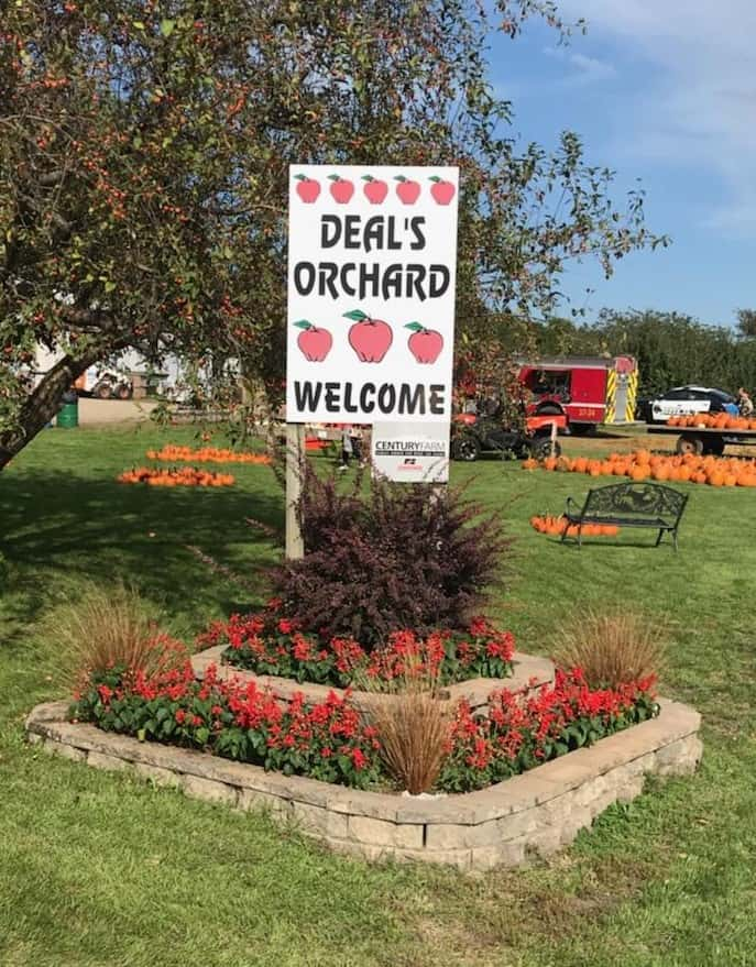 deals-orchard-3