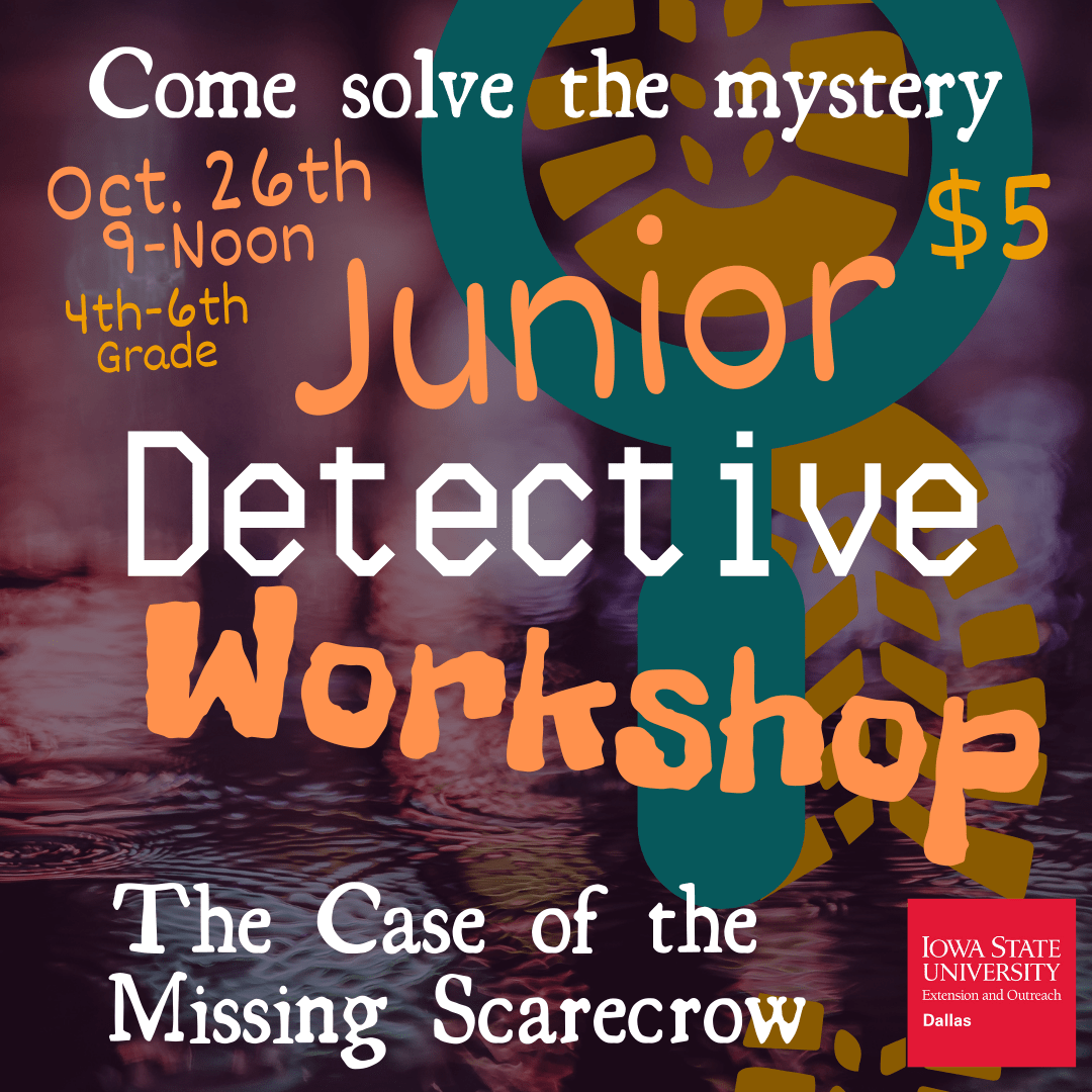 extension-junior-detective-ws