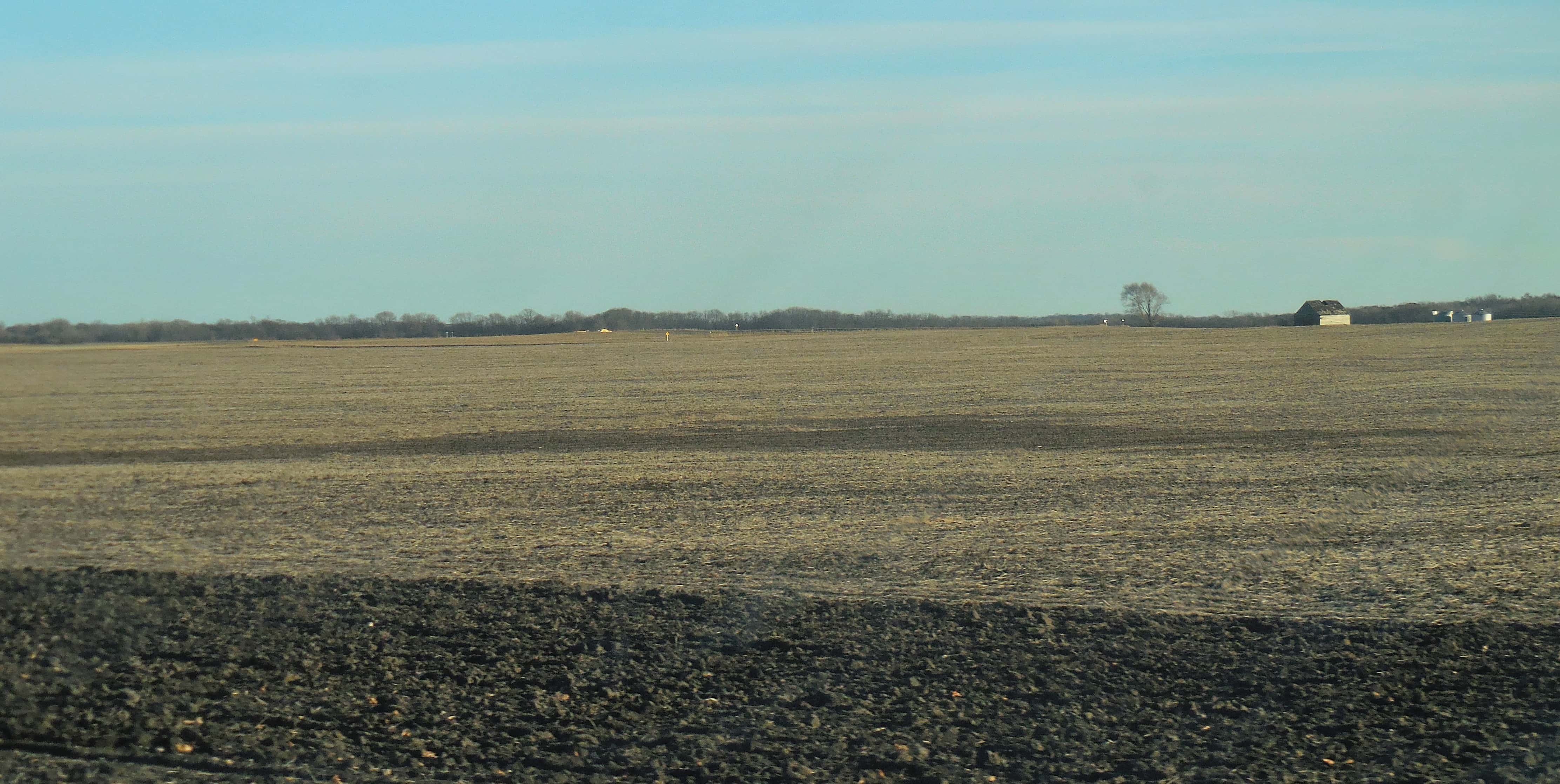 harvested-field