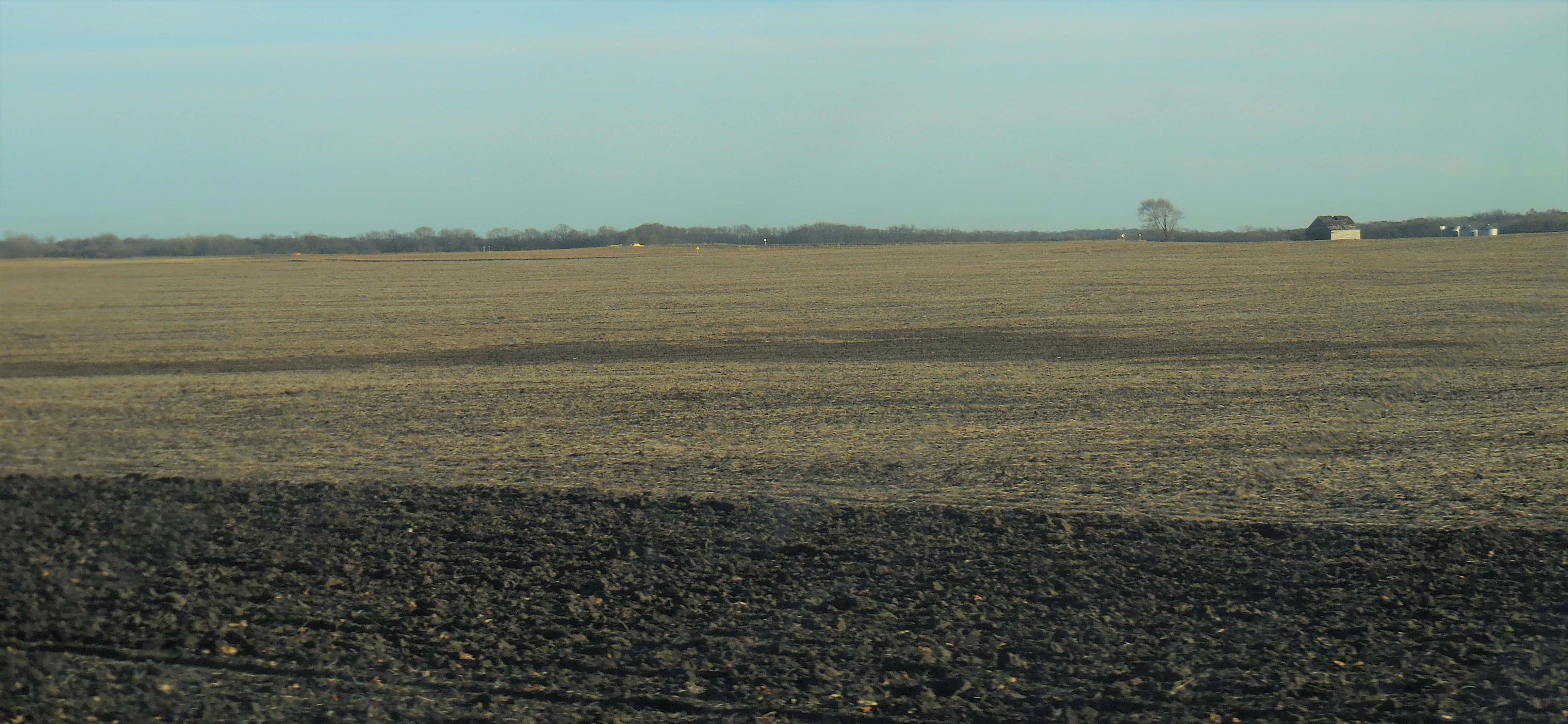 harvested-crop-field