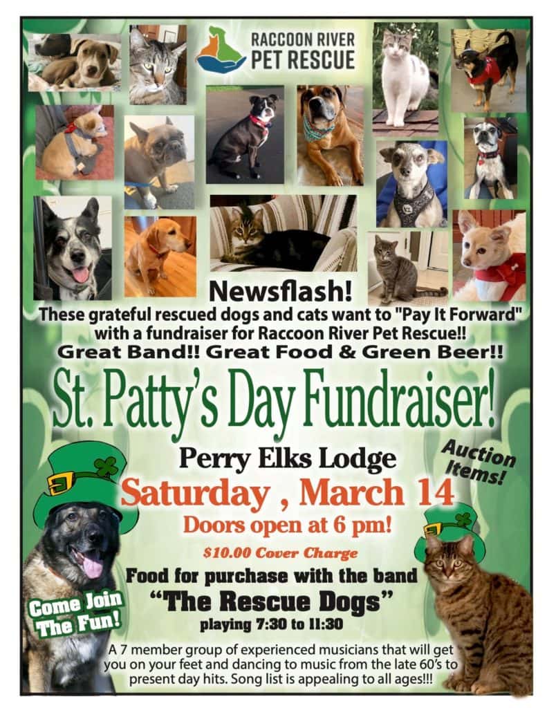 Raccoon River Pet Rescue Hosting St. Patrick's Day Fundraiser | Raccoon