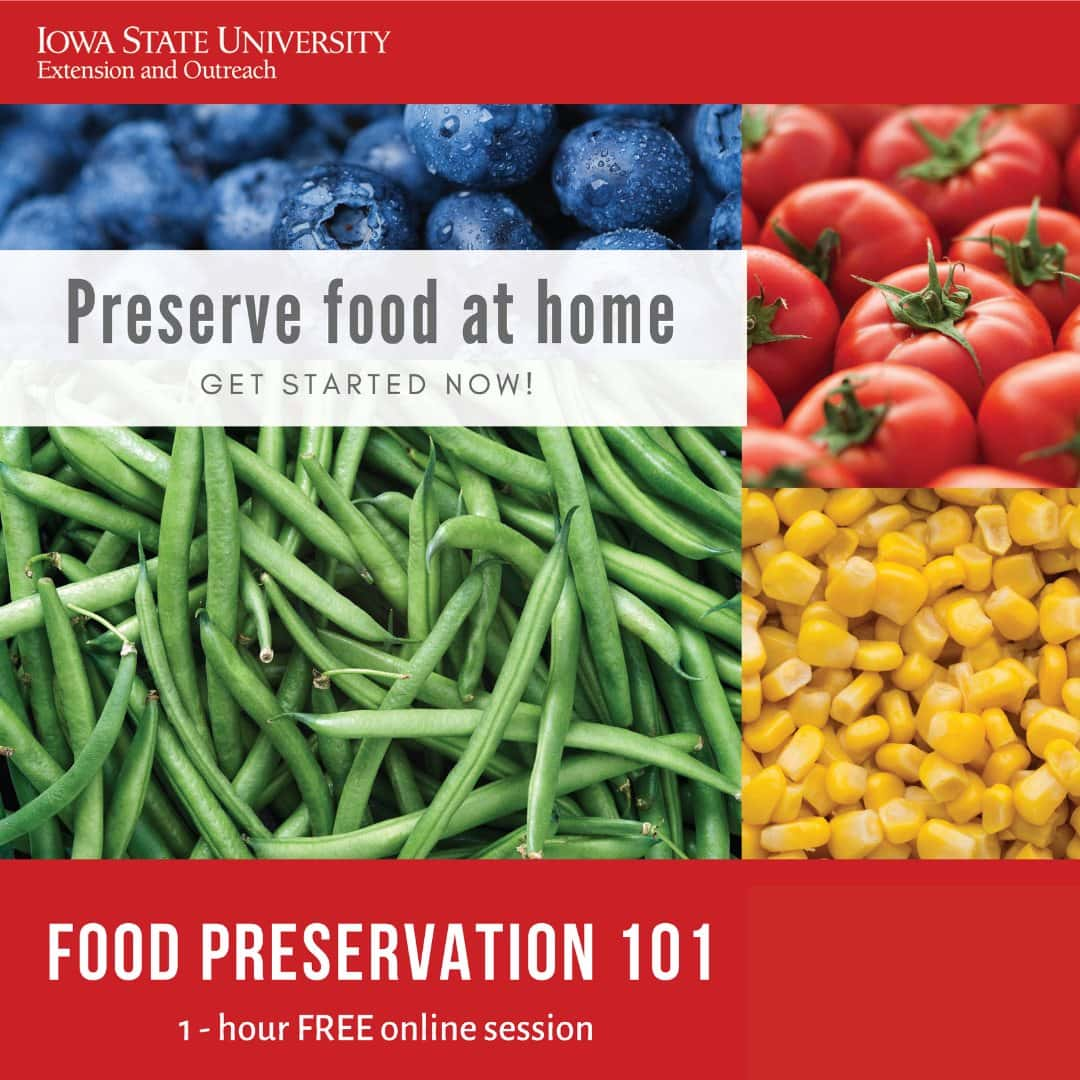 food-preservation-101