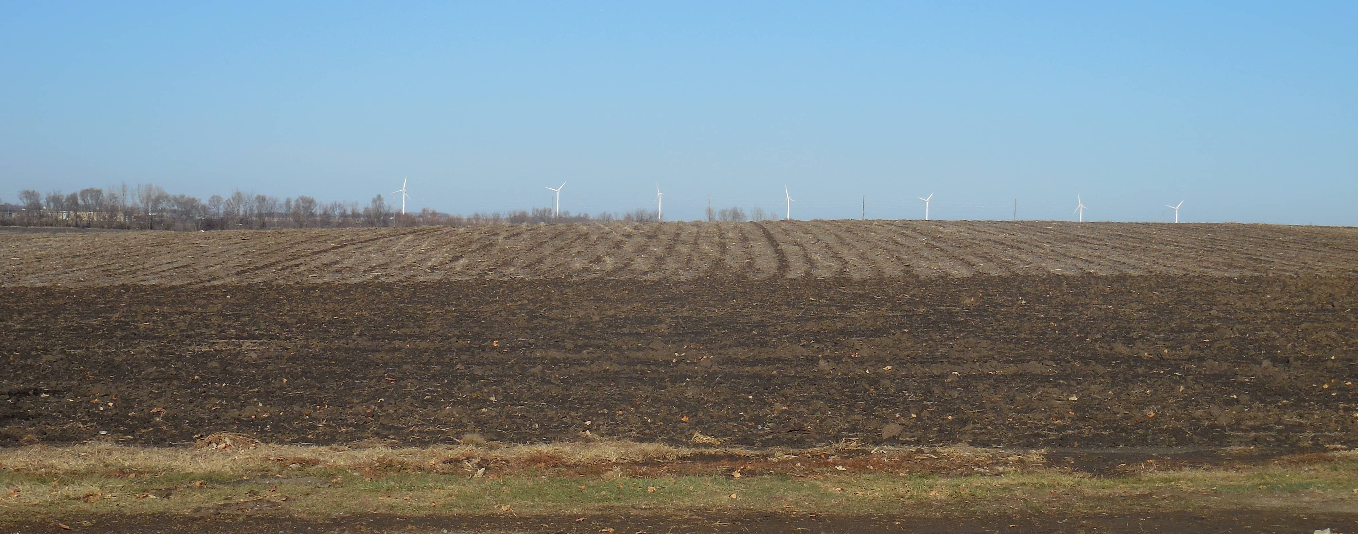 harvested-crop-field-2