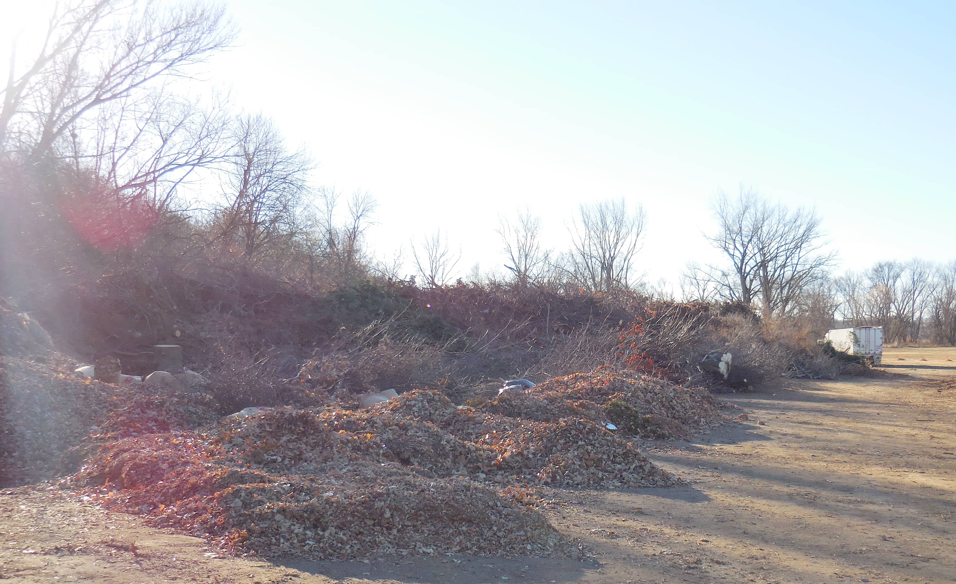 yard-waste-site-at-daubendiek-park