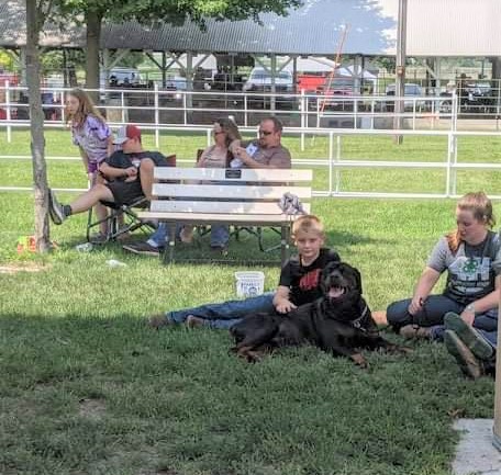 adair-county-fair-pic-2