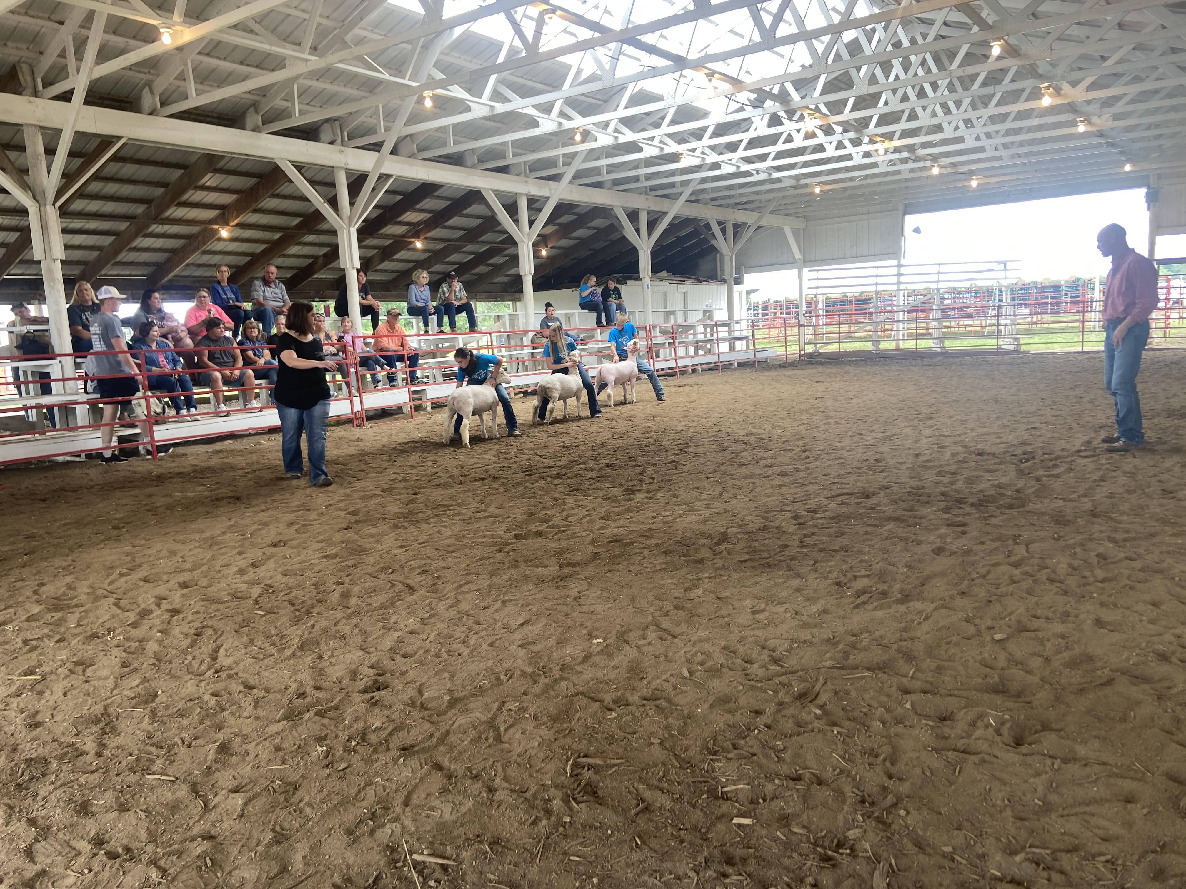 Livestock Results From Guthrie County Fair Raccoon Valley Radio The