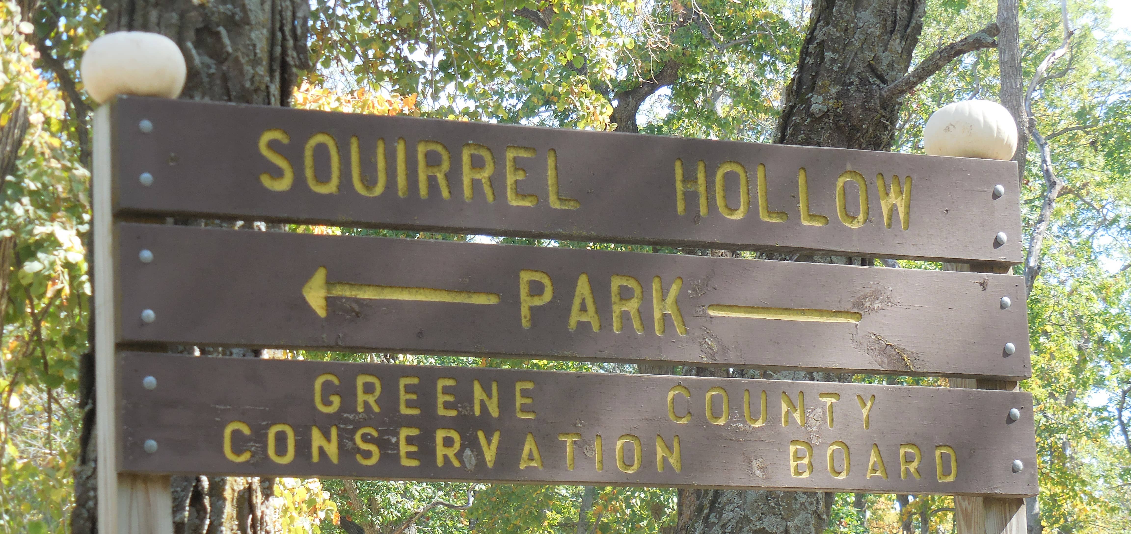 squirrel-hollow-park