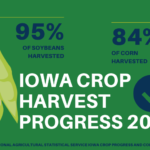 harvest-progress-november-8-2021