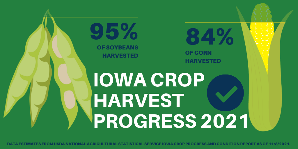 harvest-progress-november-8-2021