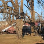 house-near-deals-orchard-pic-3