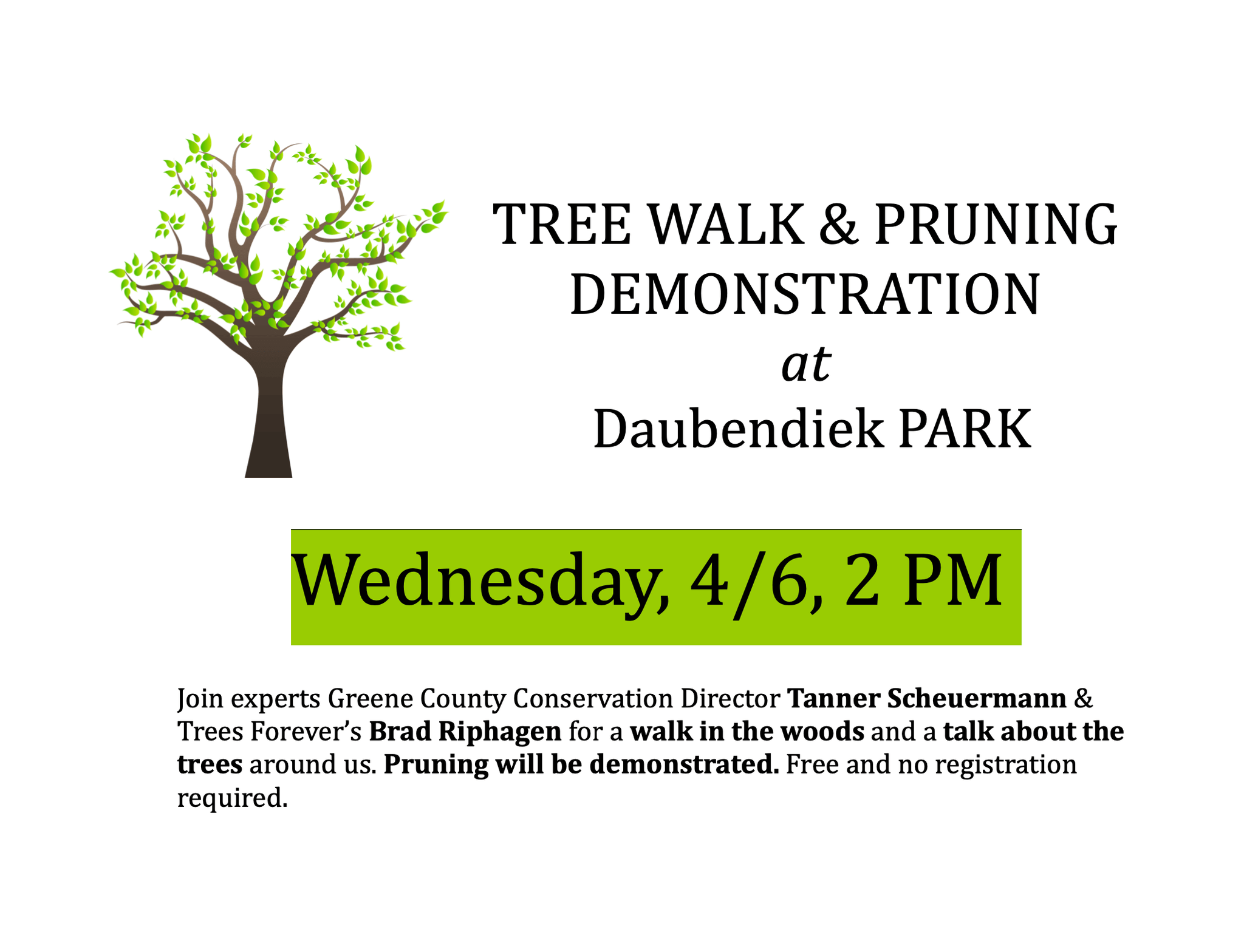 tree-walk-at-daubendiek-park