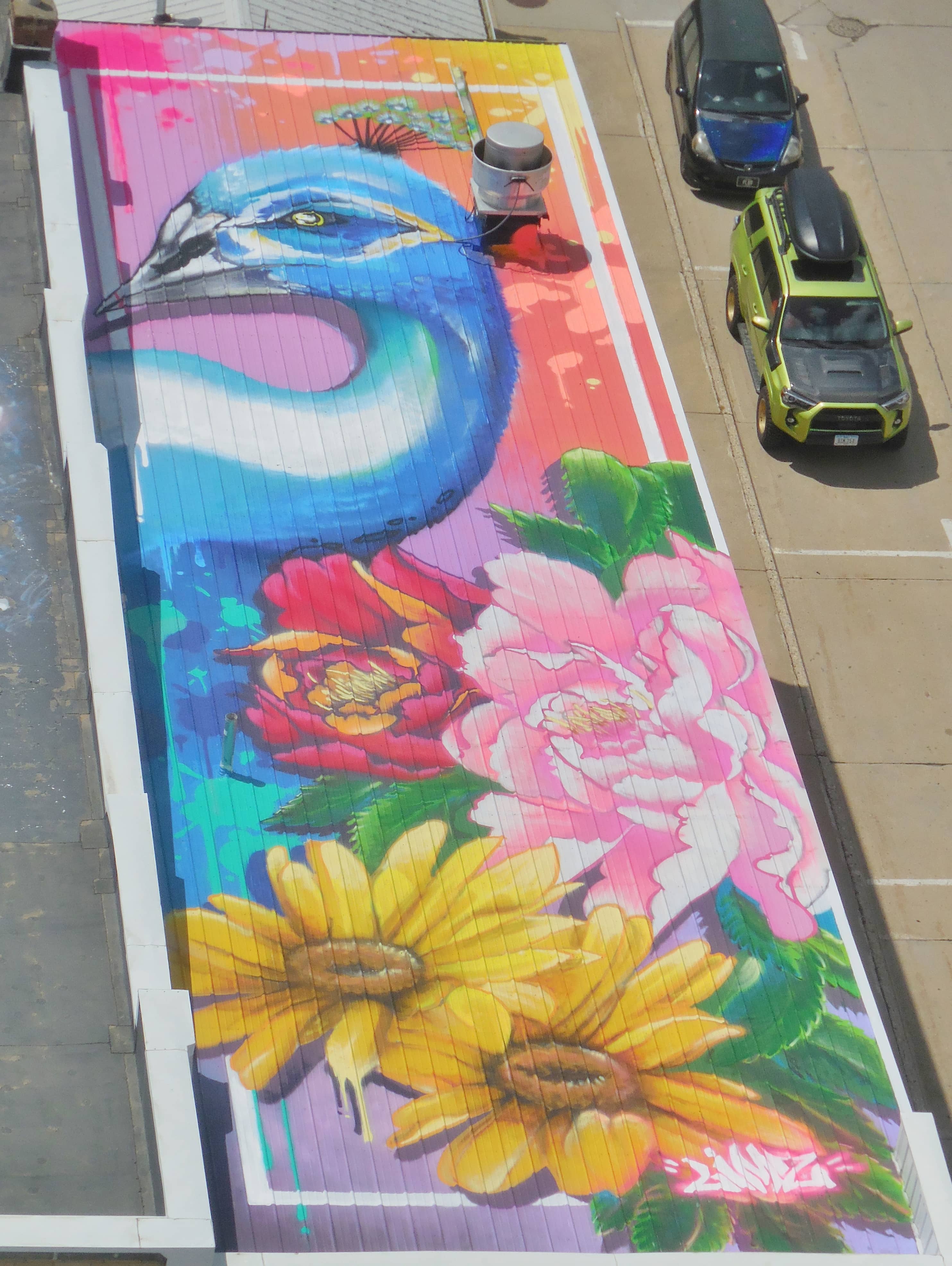 blue-bird-rooftop-art