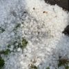 quarter-sized-hail