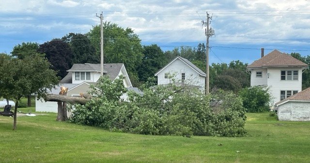 tree-snapped-in-churdan