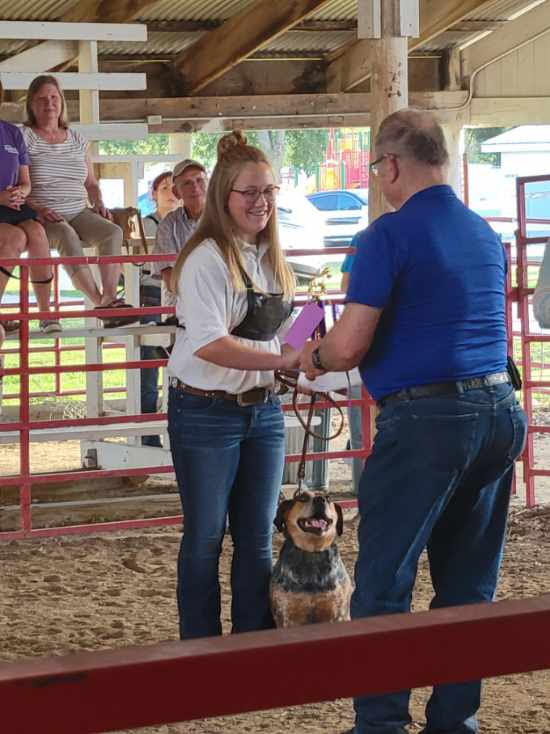 2022 Guthrie County Fair Ends Six Days Of Activities Raccoon Valley