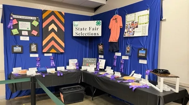 state-fair-qualifier-full-pic