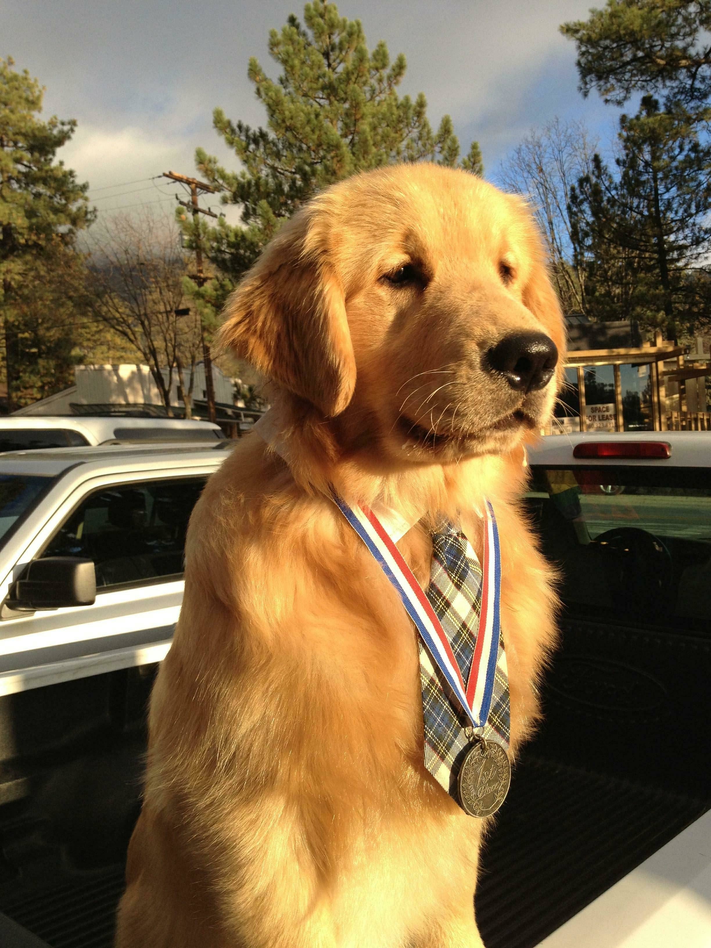 max_ii_with_medal_11-24-13