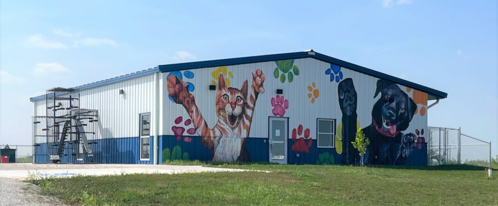 PAWS of Greene County to Host Low Cost Pet Microchipping Clinic on Saturday