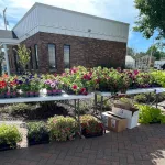 tj-gardens-plant-sale