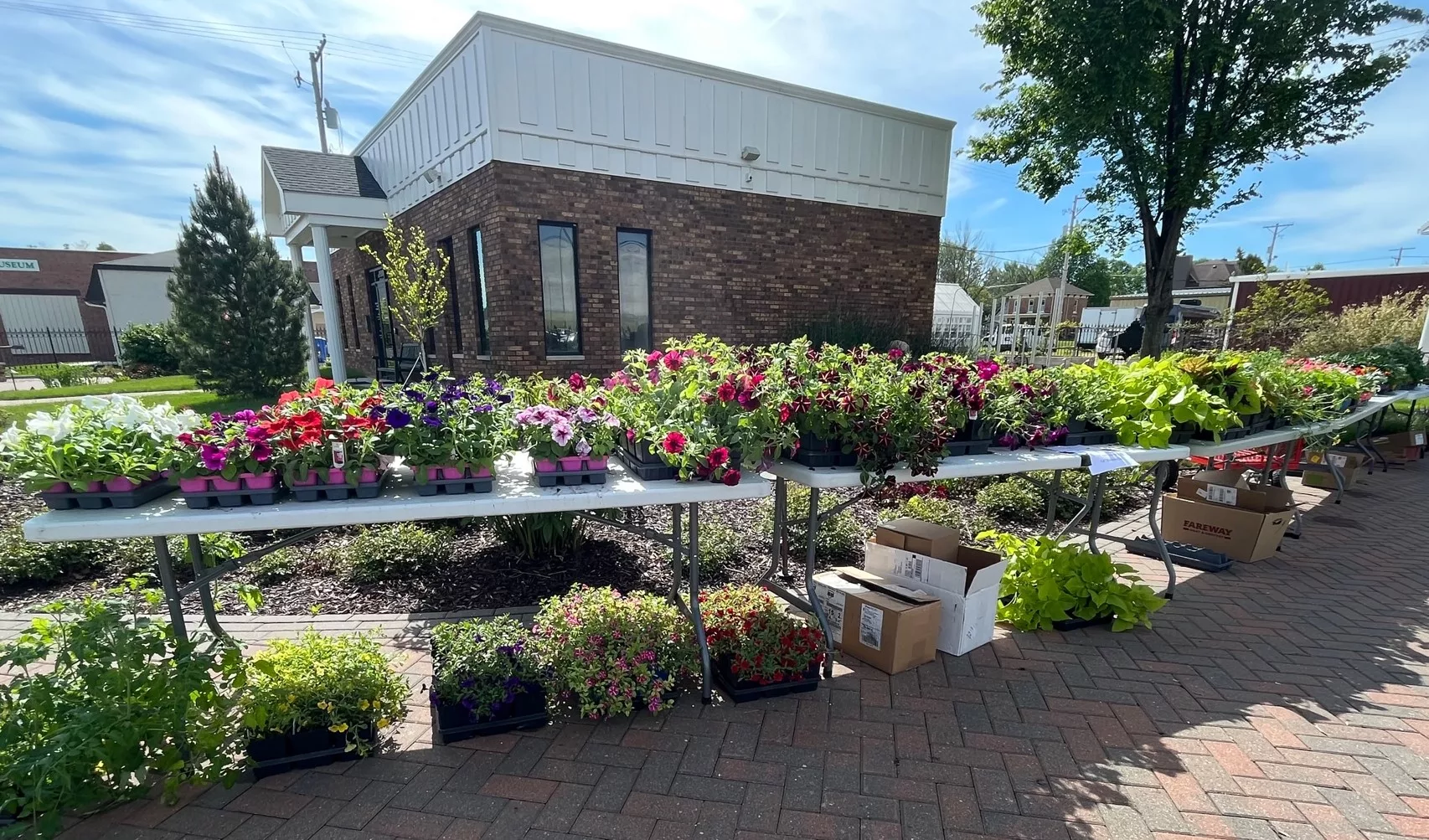 tj-gardens-plant-sale