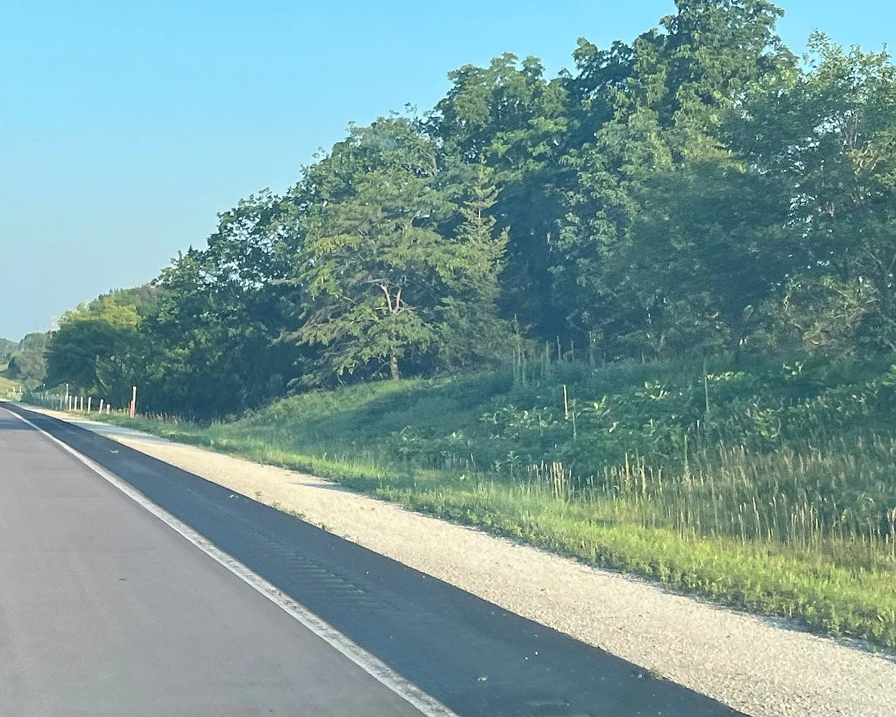 black-shoulders-on-highway-30