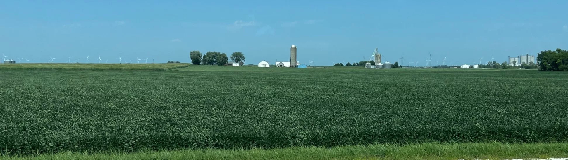 crop-update-field