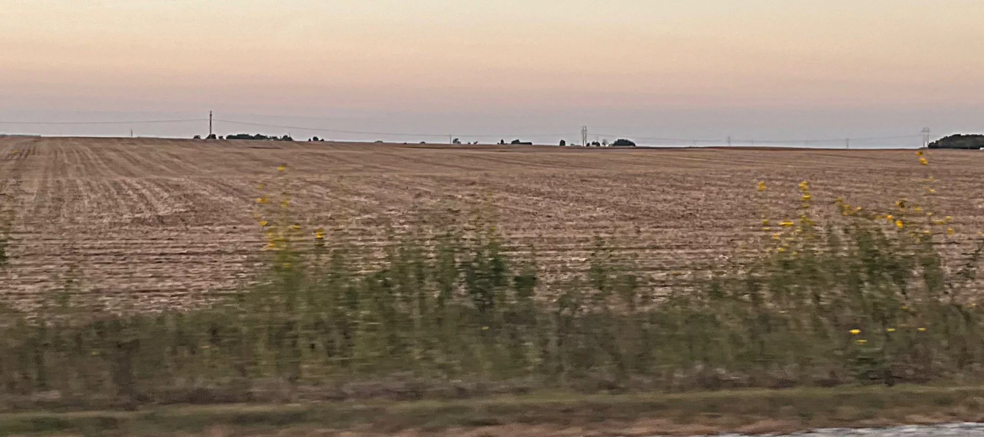 harvest-field