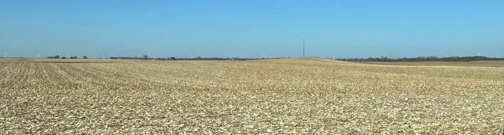 harvested-crop-field-4