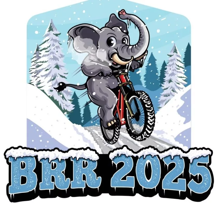 brr-2025-logo