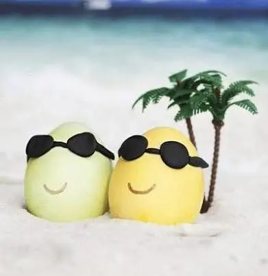 fun-in-the-sun-by-the-dozen-theme-for-good-egg-days