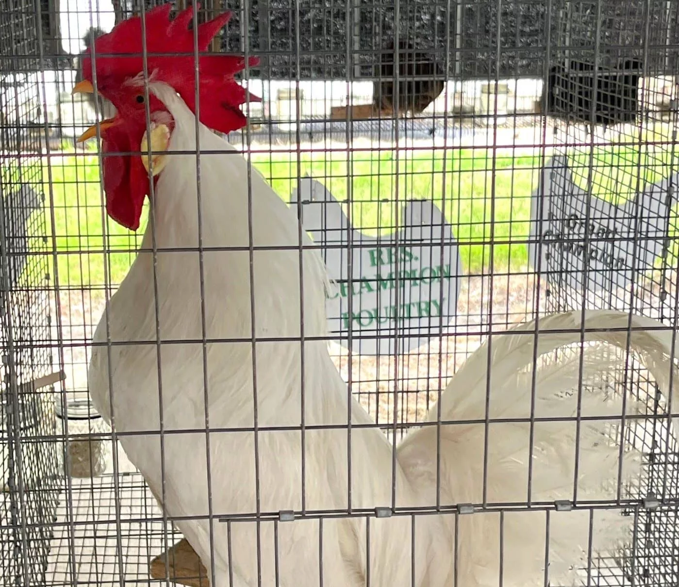 496087530_1242236074579259_550069567977178394_n