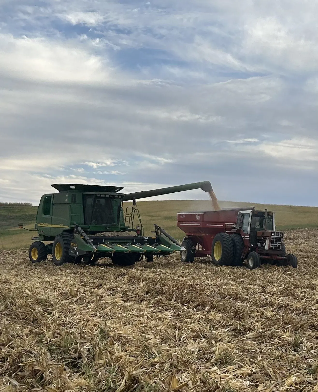 shirbroun-raleigh-photo