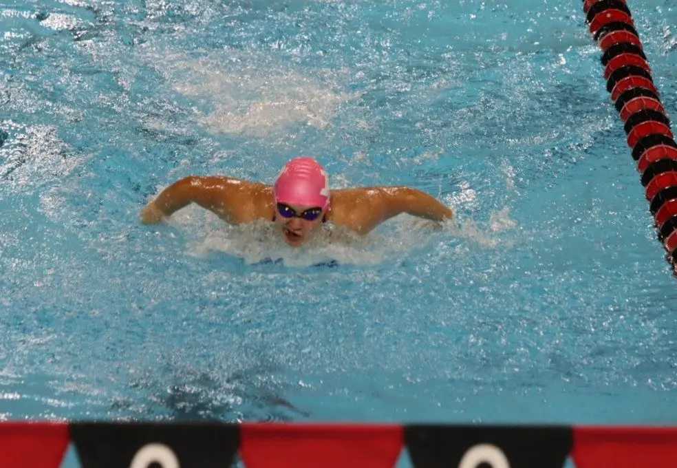 cali-100-butterfly-1