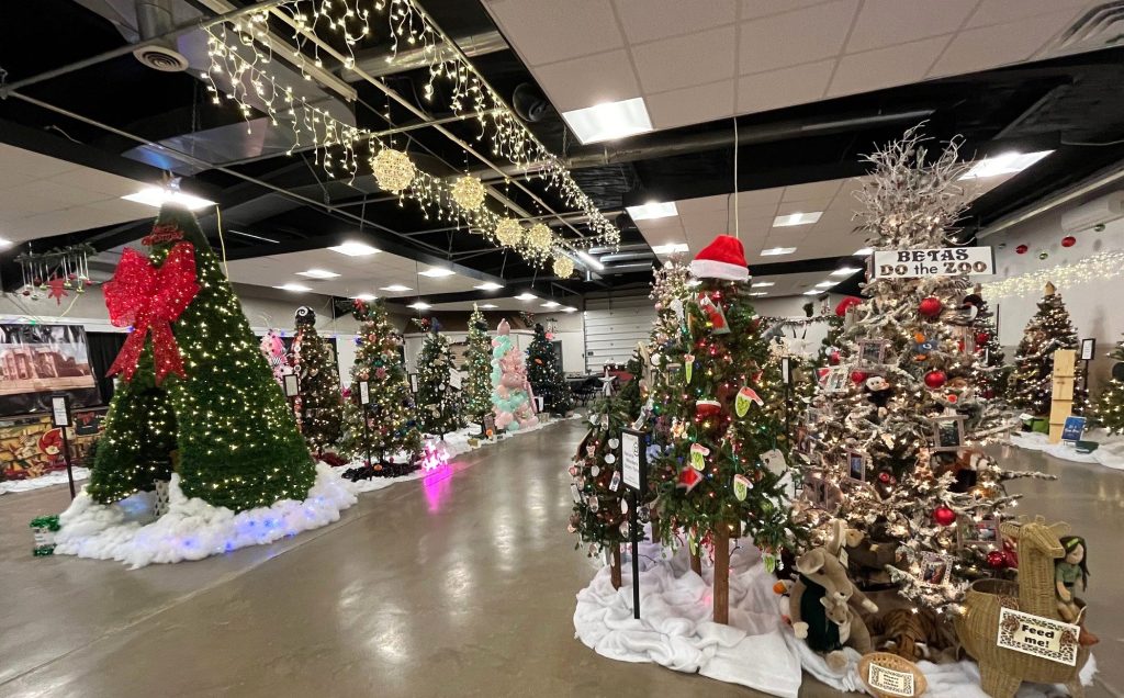 Final Day of the Winter Festival in Jefferson | Raccoon Valley Radio ...