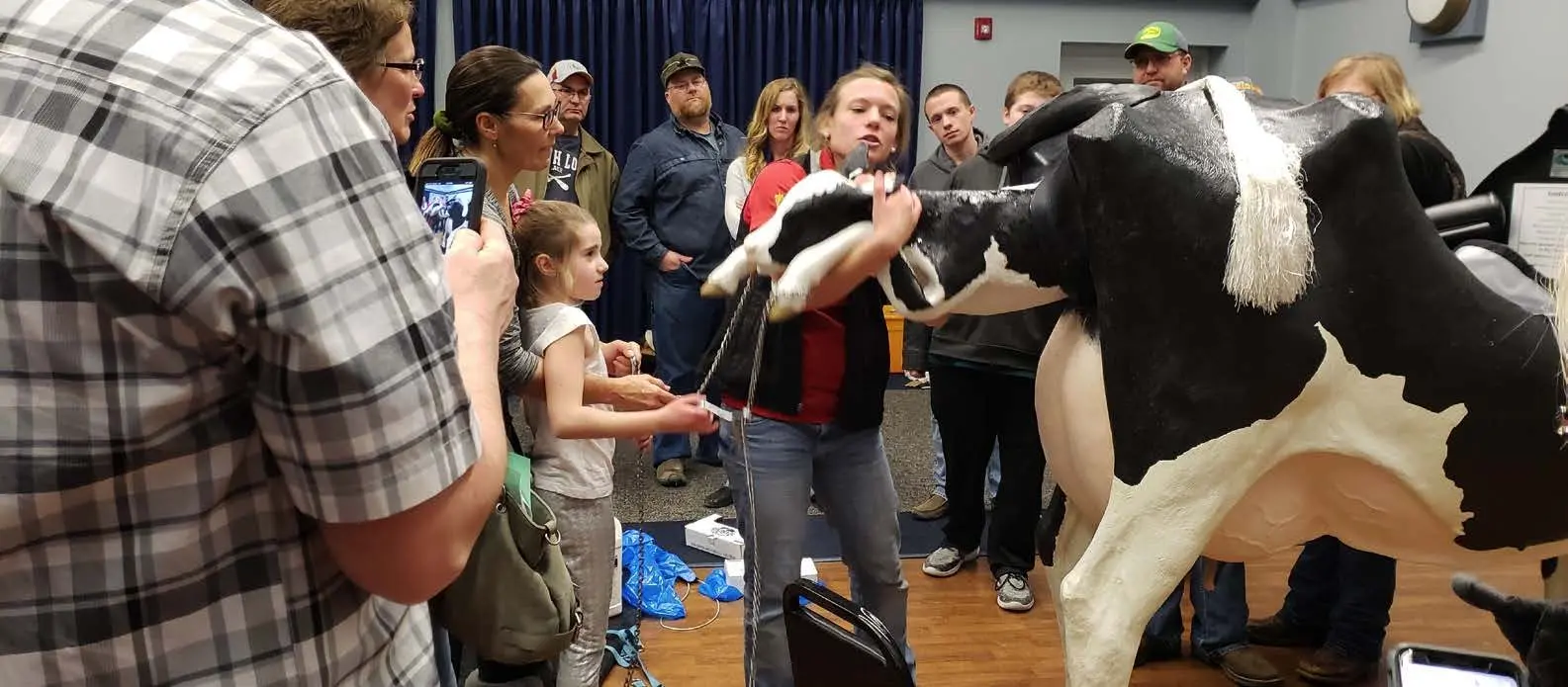 ibc152_advanced-calving-clinics-flyer-2026