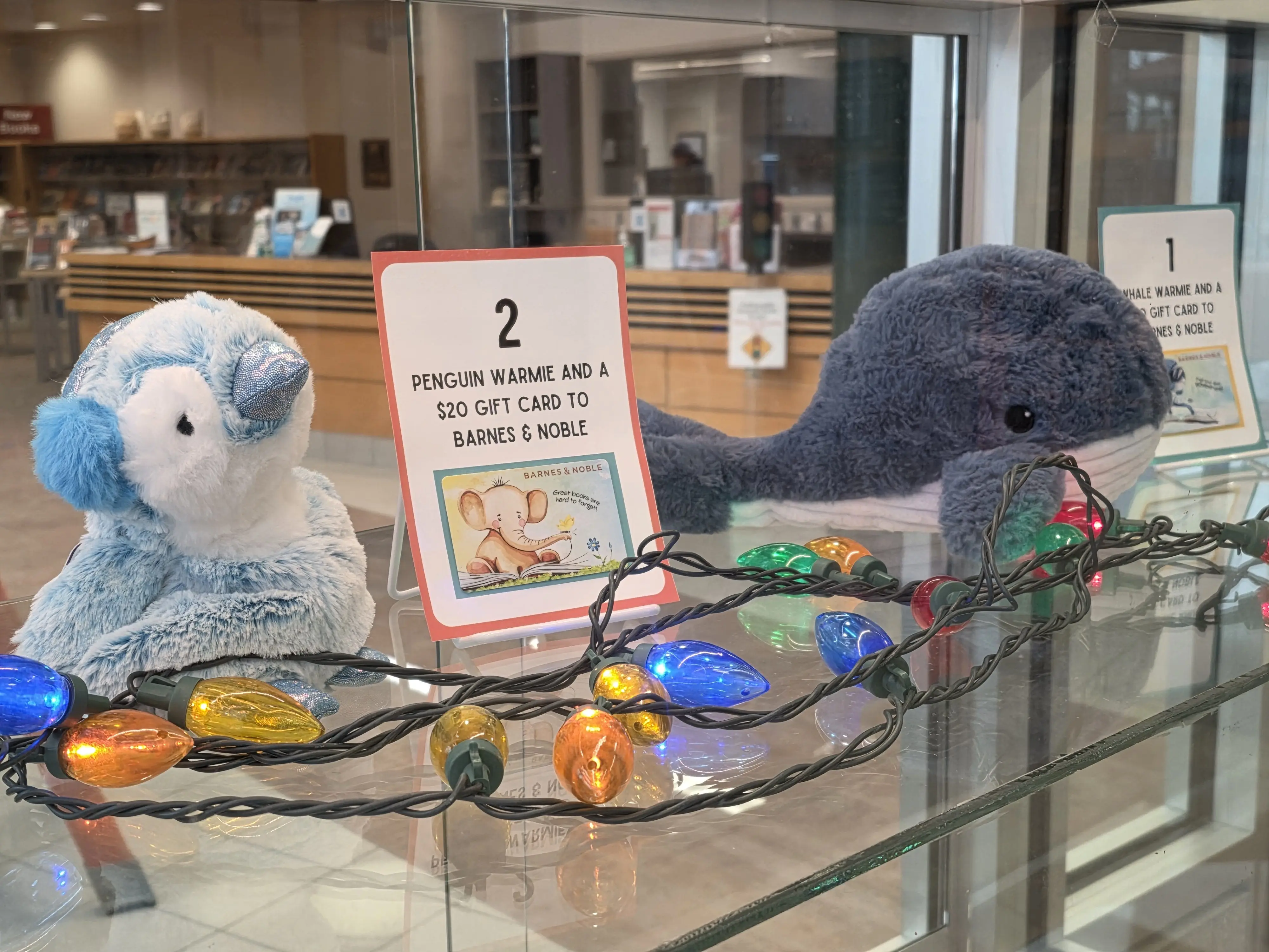 adel-library-winter-reading-prizes