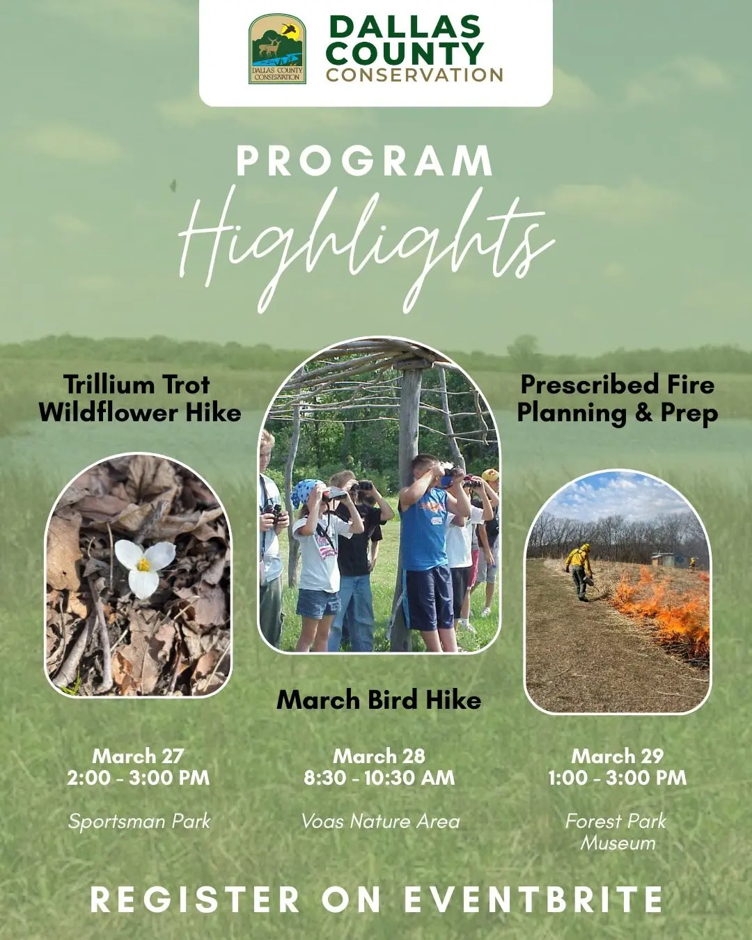 dccb-flowers-feathers-flames