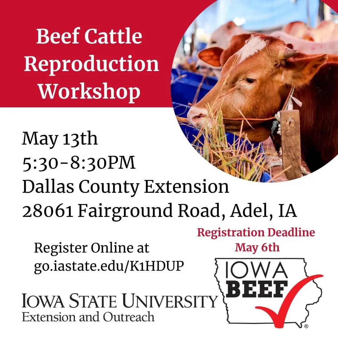 dallas-county-extension-beef-workshop