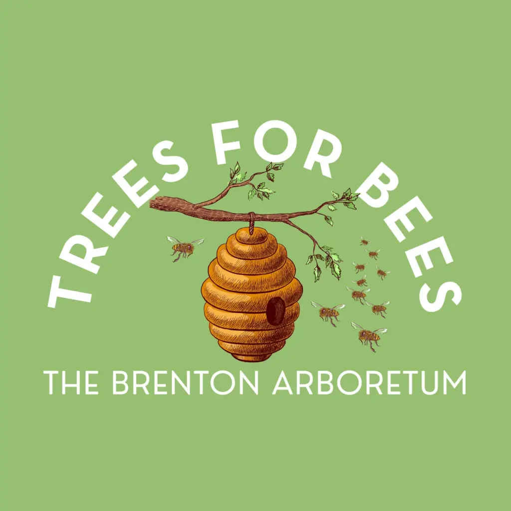 brenton-arboretum-trees-for-bees