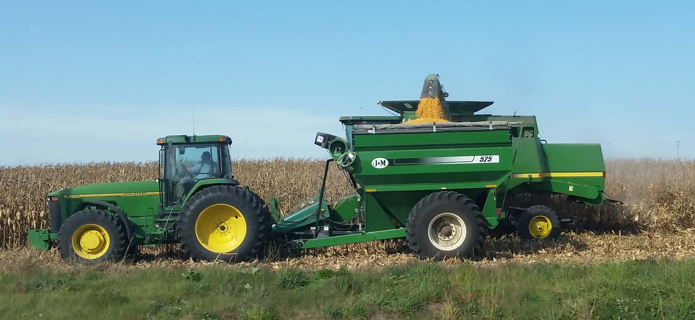 harvest-corn