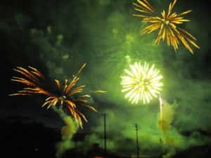 fireworks-300x225-7