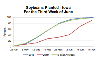 soybean-progress-june-18-2019