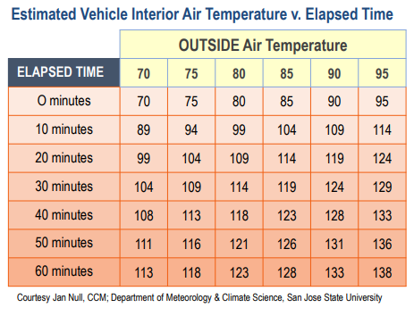 vehicle-temperatures-heatstroke